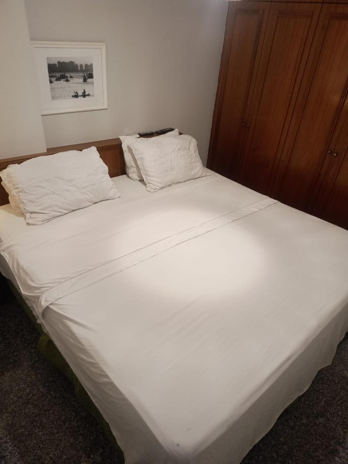 Tulip In Flat San Martain