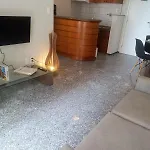 Tulip In Flat San Martain