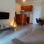 Tulip In Flat San Martain